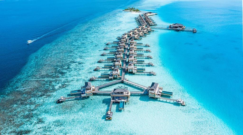 Dhaalu